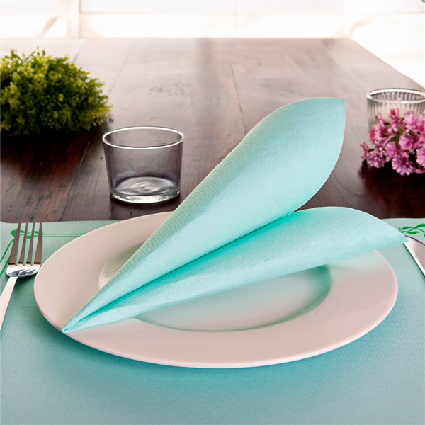 Garcia De Pou SERVILLETAS ECOLABEL 'DOUBLE POINT' 18 G/M2 33x33 CM VERDE AGUA TISSUE (1200 UNID.)