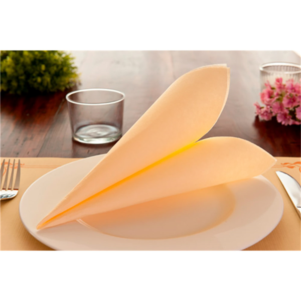 Garcia De Pou SERVILLETAS ECOLABEL 'DOUBLE POINT' 18 G/M2 33x33 CM MARFIL TISSUE (1200 UNID.)