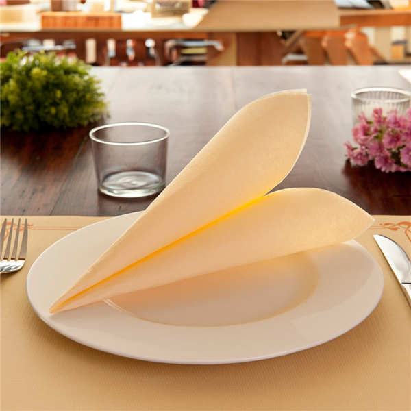Garcia De Pou SERVILLETAS ECOLABEL 'DOUBLE POINT' 18 G/M2 33x33 CM MARFIL TISSUE (1200 UNID.)