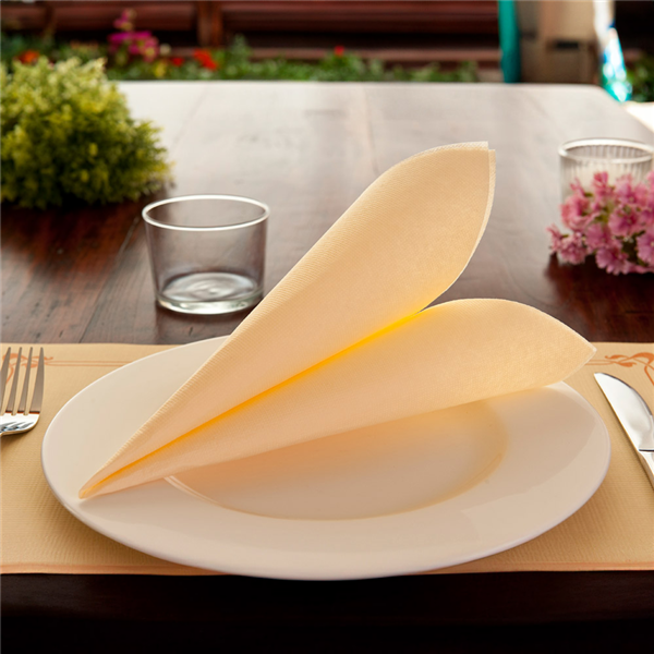 Garcia De Pou SERVILLETAS ECOLABEL 'DOUBLE POINT' 18 G/M2 39x39 CM MARFIL TISSUE (1200 UNID.)