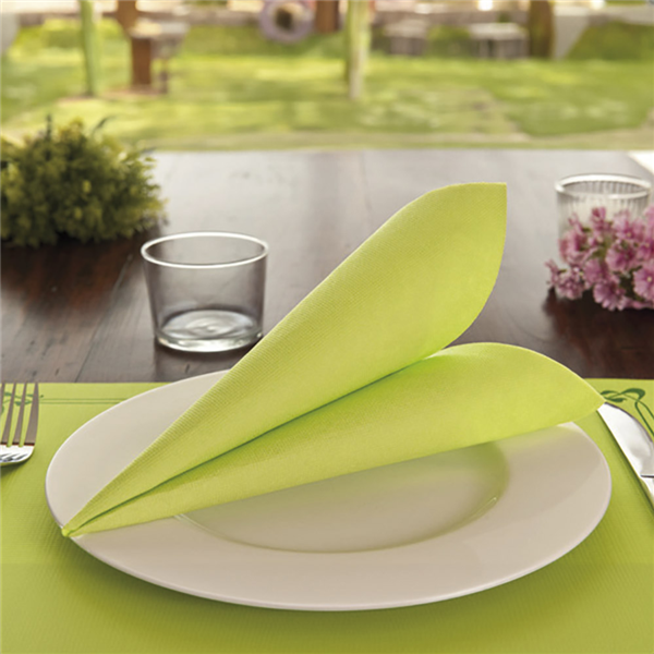 Garcia De Pou SERVILLETAS ECOLABEL 'DOUBLE POINT' 18 G/M2 39x39 CM VERDE ANÍS TISSUE (1200 UNID.)