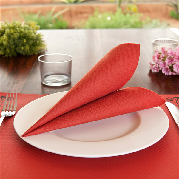 Garcia De Pou SERVILLETAS ECOLABEL 'DOUBLE POINT' 18 G/M2 39x39 CM ROJO TISSUE (1200 UNID.)
