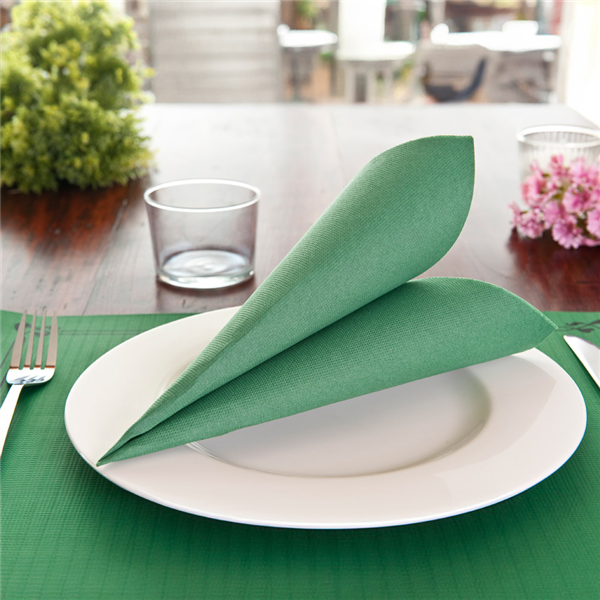 Garcia De Pou SERVILLETAS ECOLABEL 'DOUBLE POINT' 18 G/M2 39x39 CM VERDE JAGUAR TISSUE (1200 UNID.)