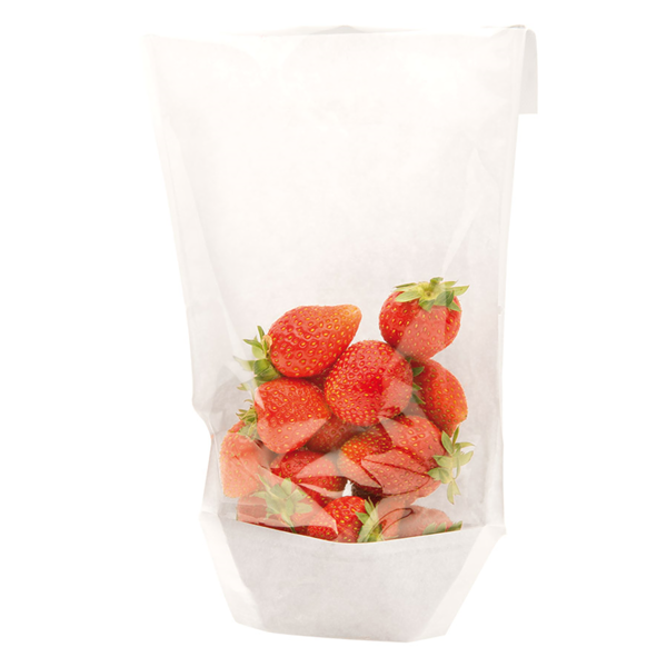 Garcia de pou SOBRES CON BASE Y VENTANA 'TURTLE PACK' 50 G/M2 + 15 PP 14+3 5x24/21 CM BLANCO KRAFT (100 UNID.)