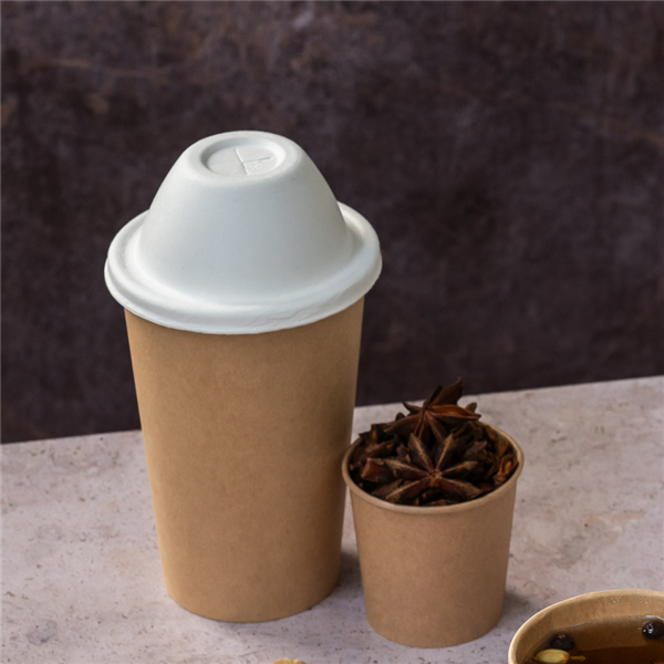 Garcia De Pou TAPAS CÚPULA PARA VASOS DE Ø9 CM 'BIONIC' 9x4 5 CM BLANCO BAGAZO (1000 UNID.)