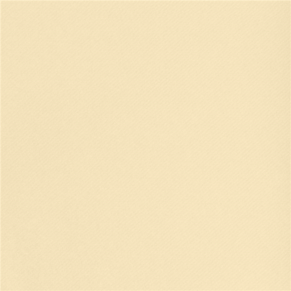 Garcia De Pou "TÚ Y YO" PRE 120CM (20 SER.) 55 G/M2 0 40x24 M MARFIL AIRLAID (6 UNID.)