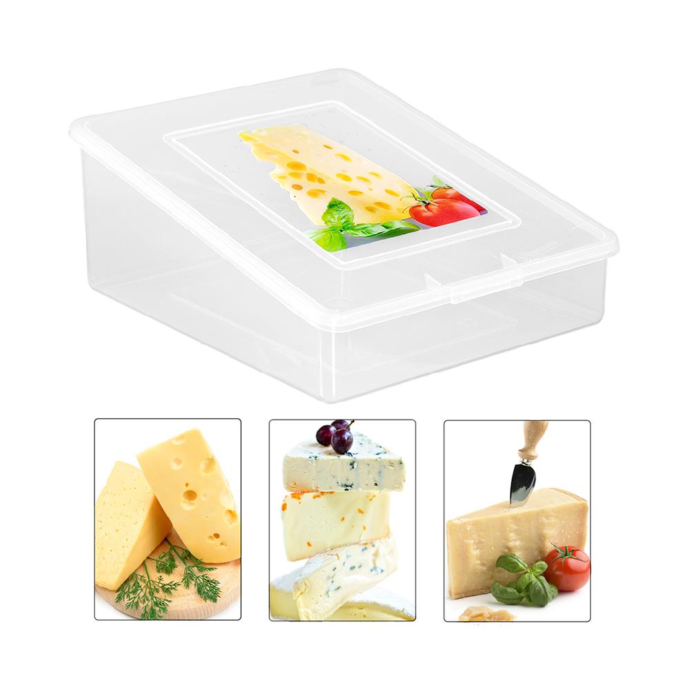 Great plastic Táper Cuña Queso