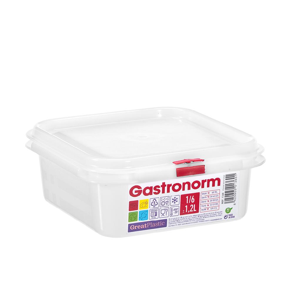 Great plastic Táper Cuadrado 1/6 Gastronorm Micro 1.2L