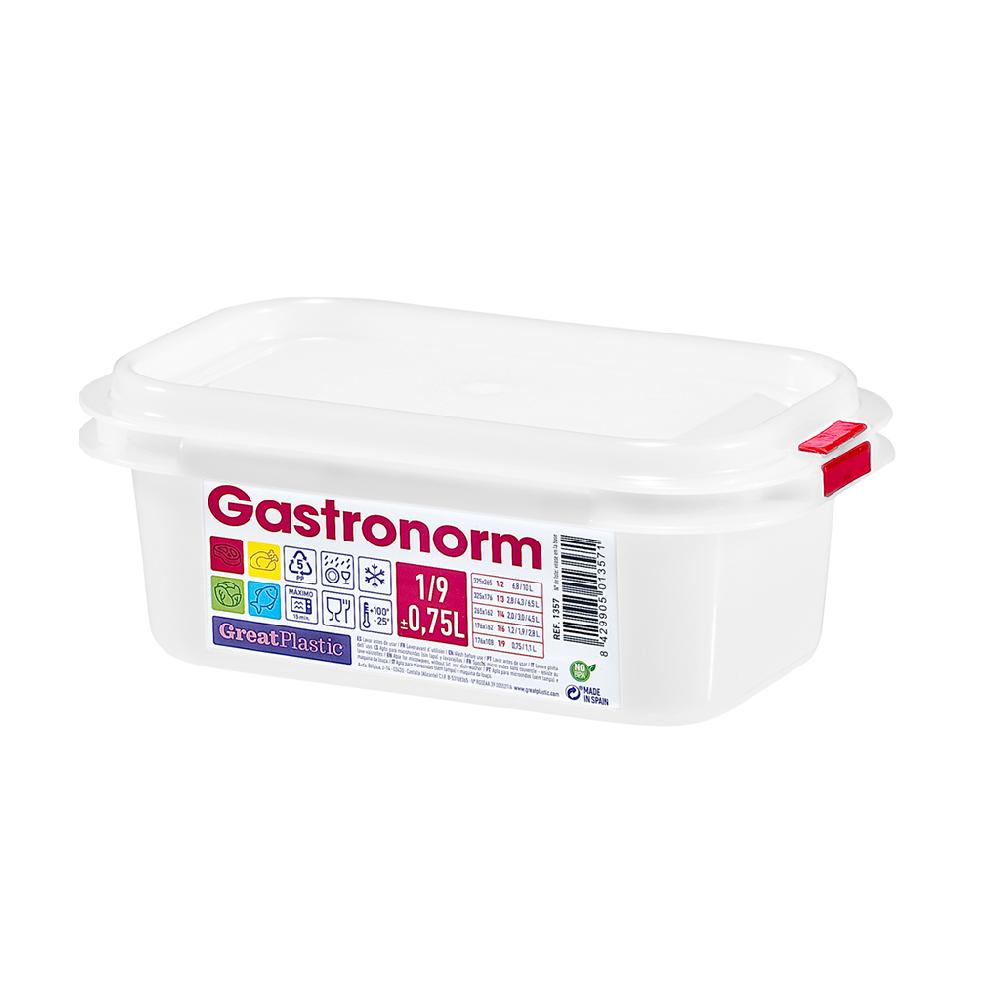 Great plastic Táper Rectangular 1/9 Gastronorm Micro 0.75L