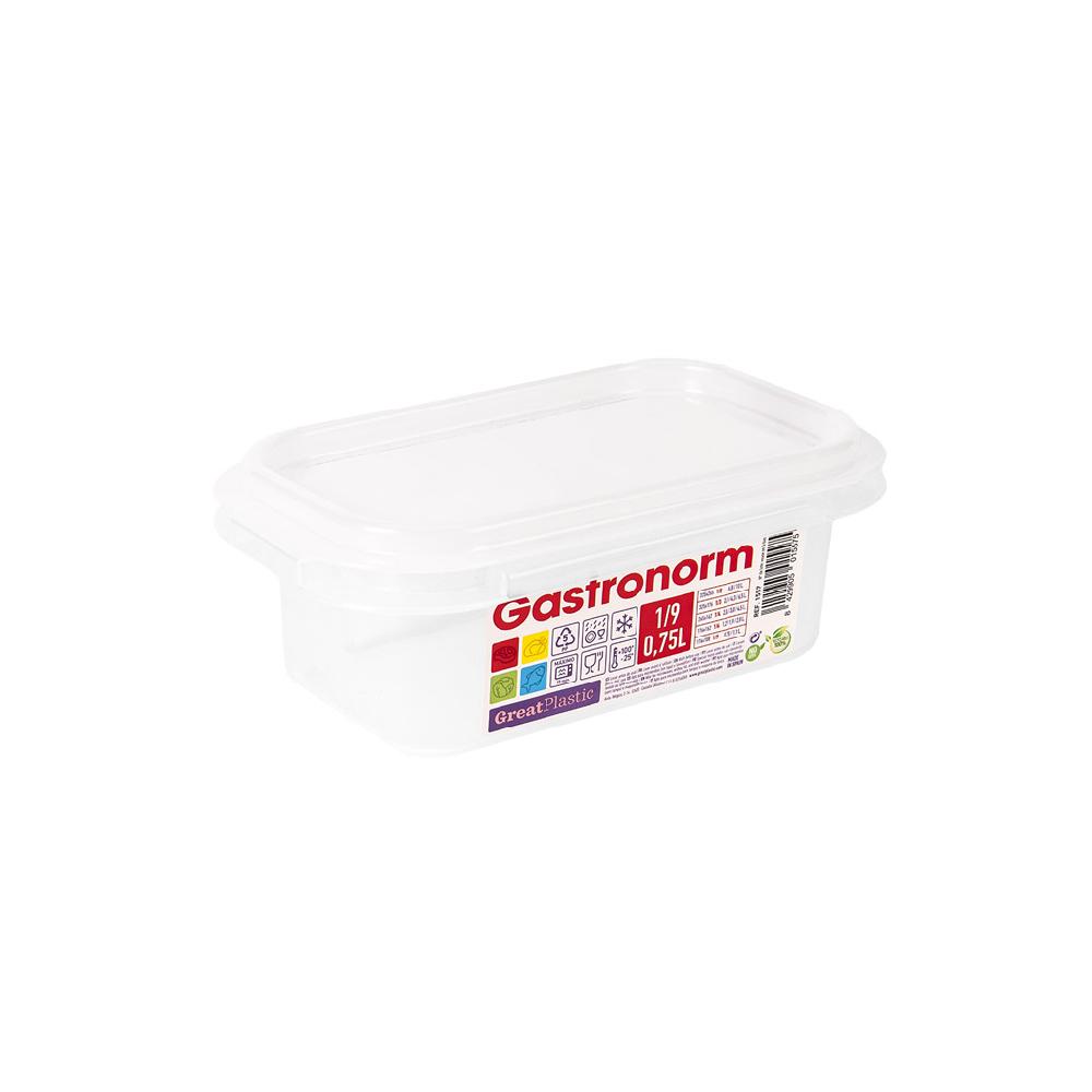 Great plastic Taper Rectangular 1/9 Gastronorm Micro 176X108X65 0.75L. Natural