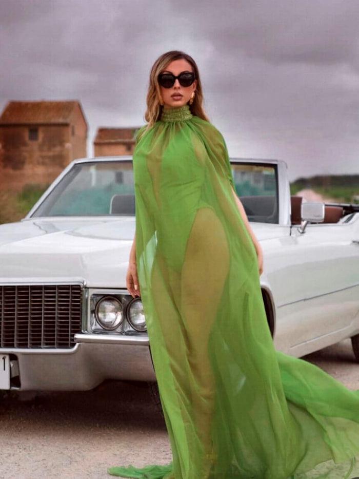 Hannibal laguna ISABELA ENCULESCU / 2023