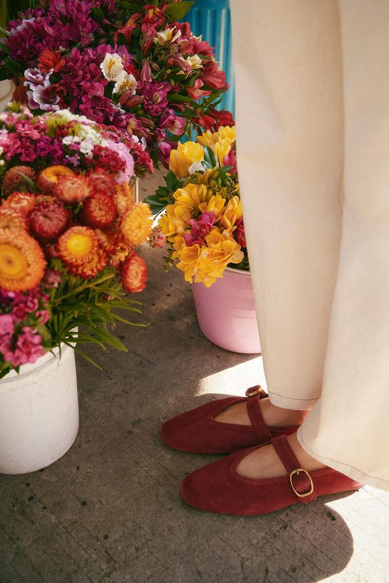 Hoss Intropia Laura. Bailarina Hebilla Serraje | Zapatos De Mujer | Hoss Intropia