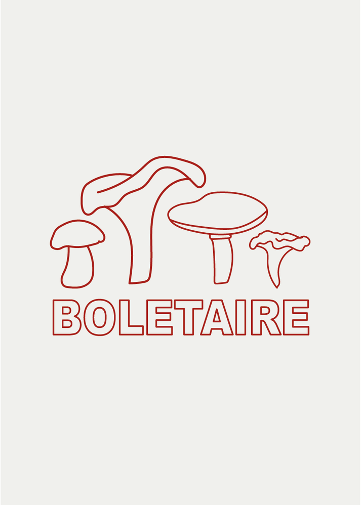 Iaios Boletaire
