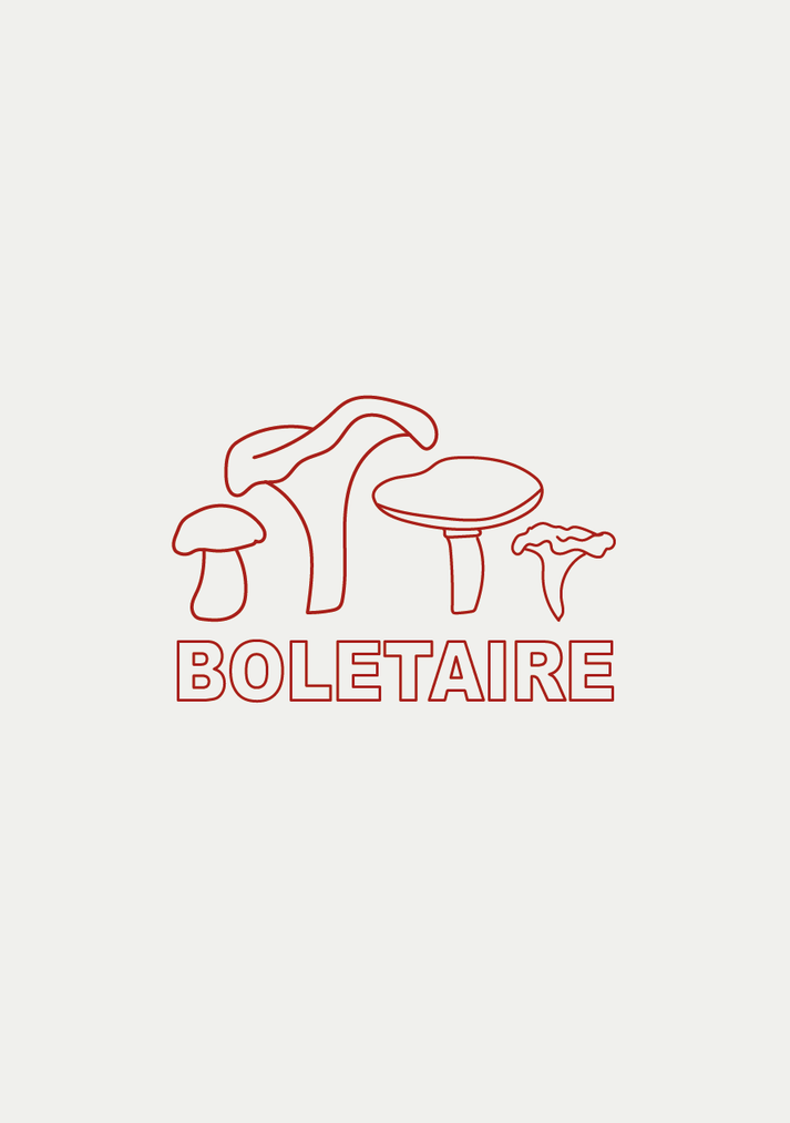 Iaios Boletaire
