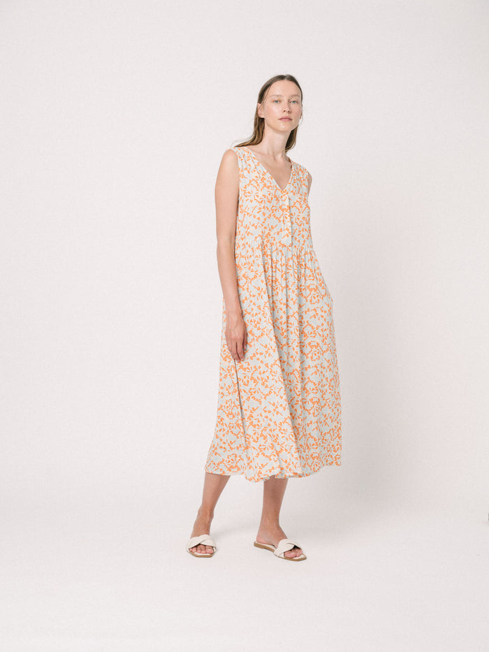 Ifeelnut Iris Dress Print – Ifeelnut