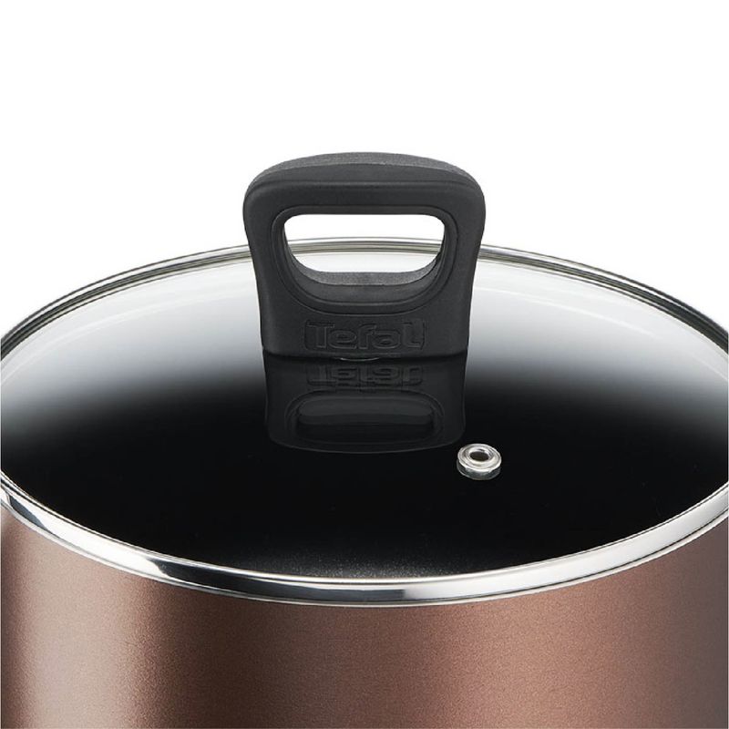 Imusa Olla TEFAL Day By Day Con Tapa De Vidrio 22 Cm