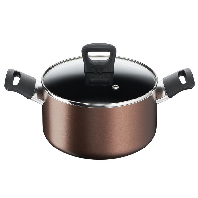 Imusa Olla TEFAL Day by Day con Tapa de Vidrio 22 cm