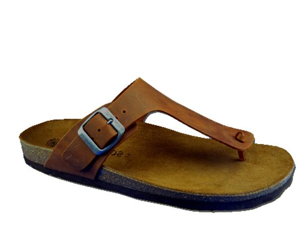 inter bios CABALLERO | 9510