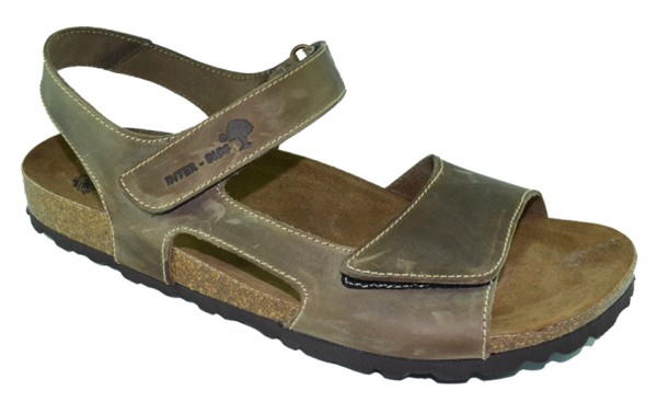 inter bios CABALLERO | 9536