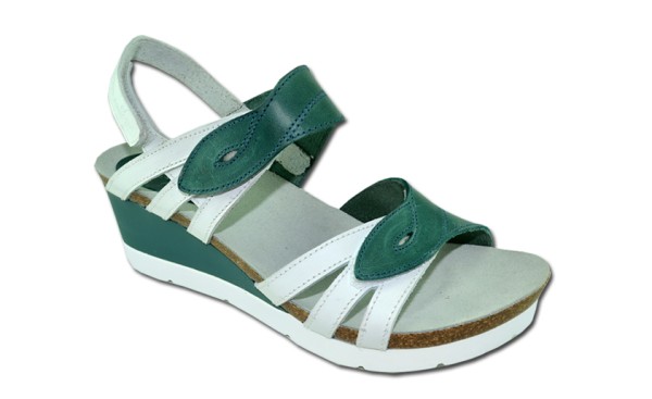 inter bios Media Cuña | 6512