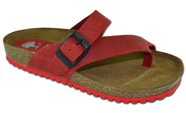 inter bios NIÑOS/AS | 7119-N