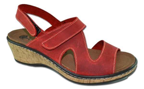 inter bios PLANTA EXTRAIBLE | 3015