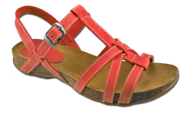 Inter Bios Sandalia Plana | 4408