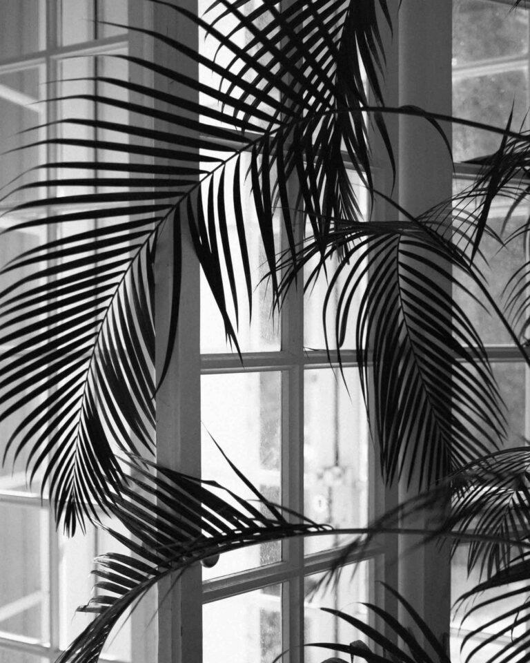 Juncal Aguirre Alpargatas Arki Oro