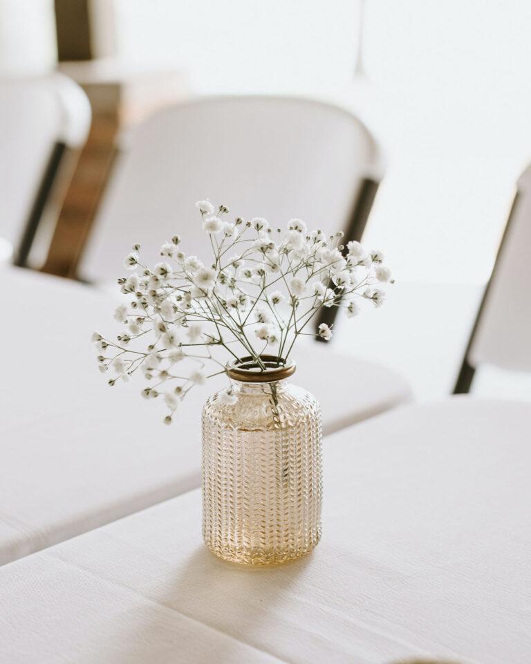 Juncal Aguirre Alpargatas Tilia Cuero