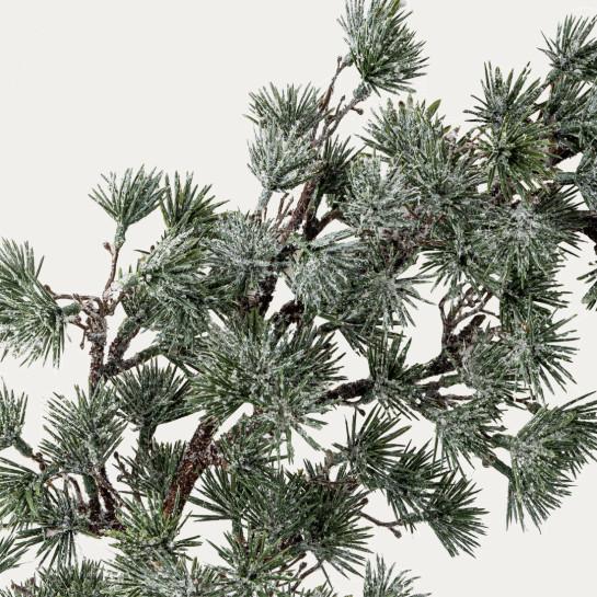 Kenay Home Corona Navidad