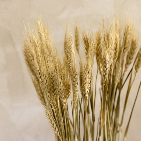 Kenay Home Flor Seca