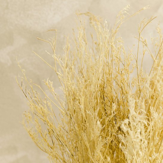 Kenay Home Flor Seca