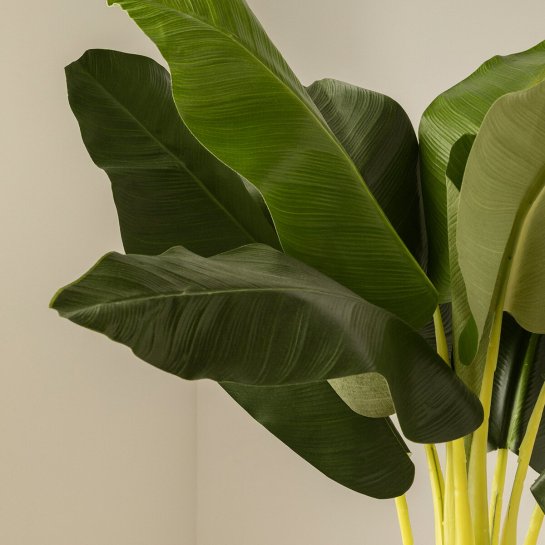 Kenay Home Planta Artificial 135 Cm