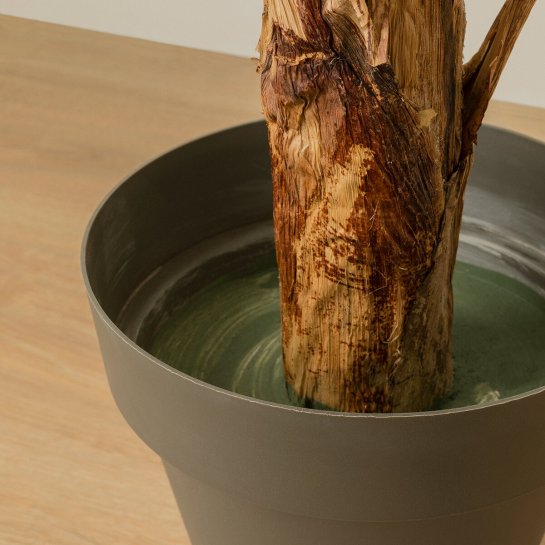 Kenay Home Planta Artificial 135 Cm