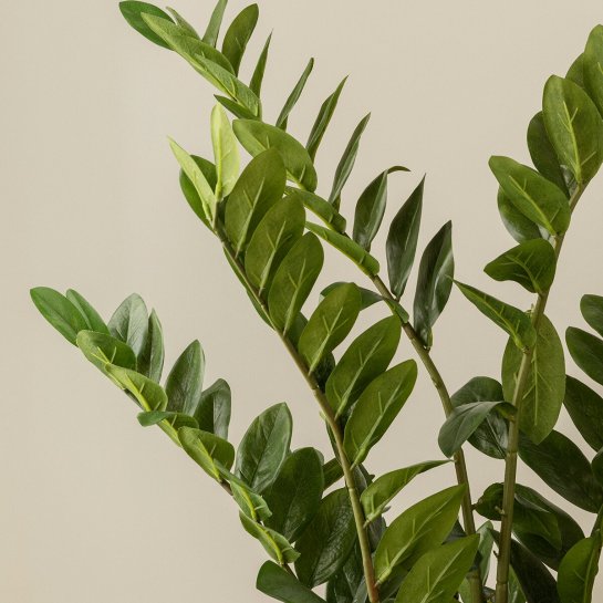 Kenay Home Planta Artificial