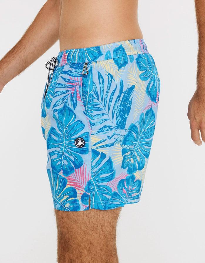 Koala Bay Bañador Corto Azul - Avatar