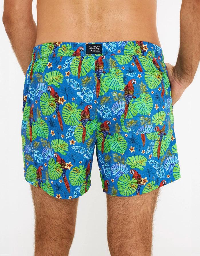 Koala Bay Bañador Corto Azul - Yellow