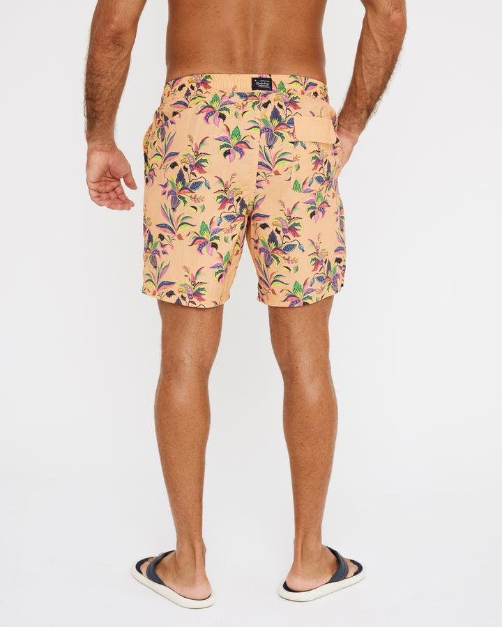 Koala Bay Bañador Corto Naranja - Deia