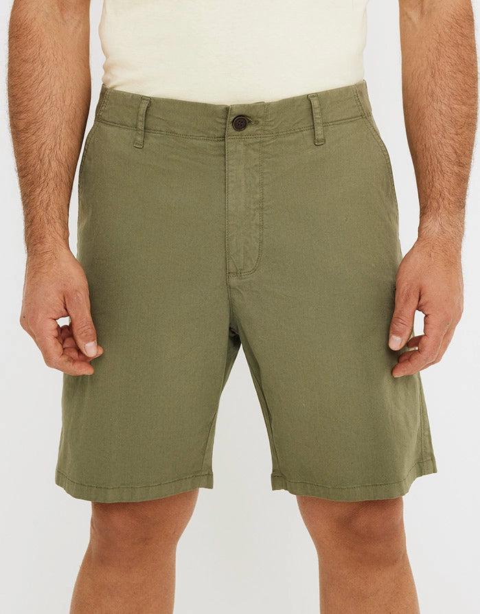 Koala Bay Bermuda Caqui - Daemon