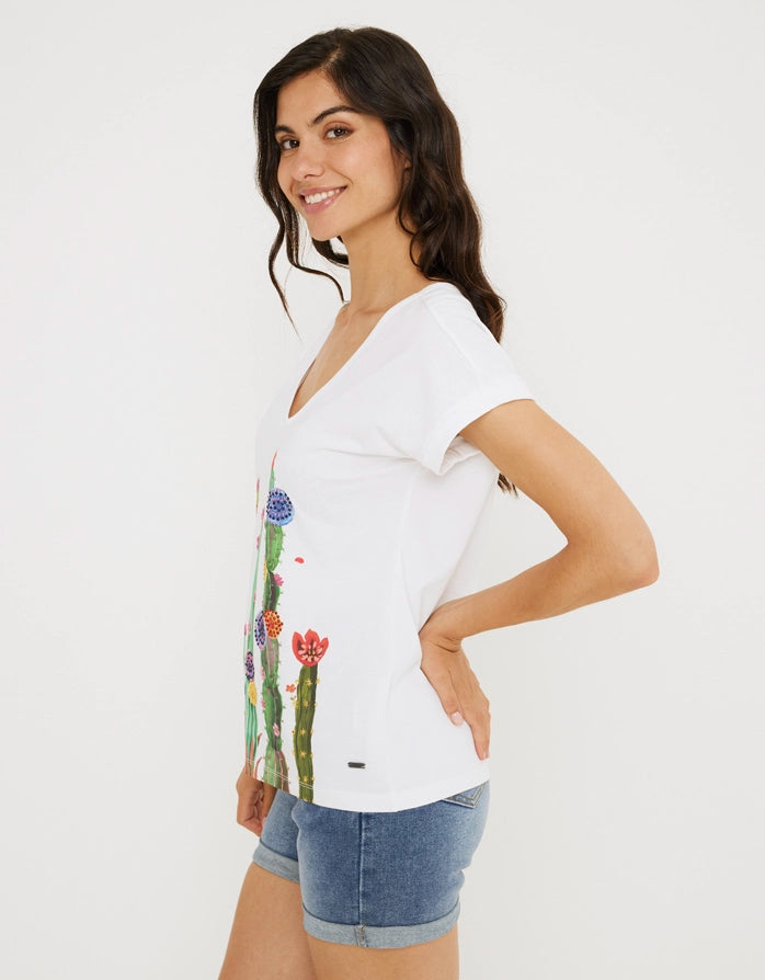 Koala Bay Camiseta Manga Corta Algodón - Peyotec