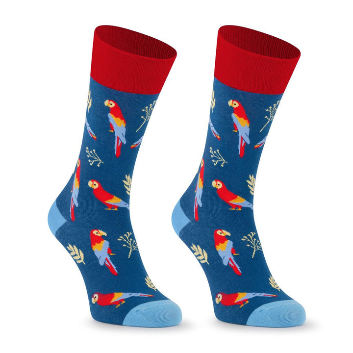 kylie crazy Calcetines divertidos de algodón LOROS