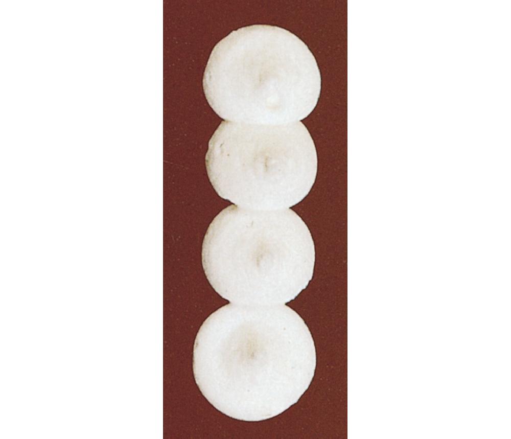 Lacor Set De 6 Boquillas Redondas