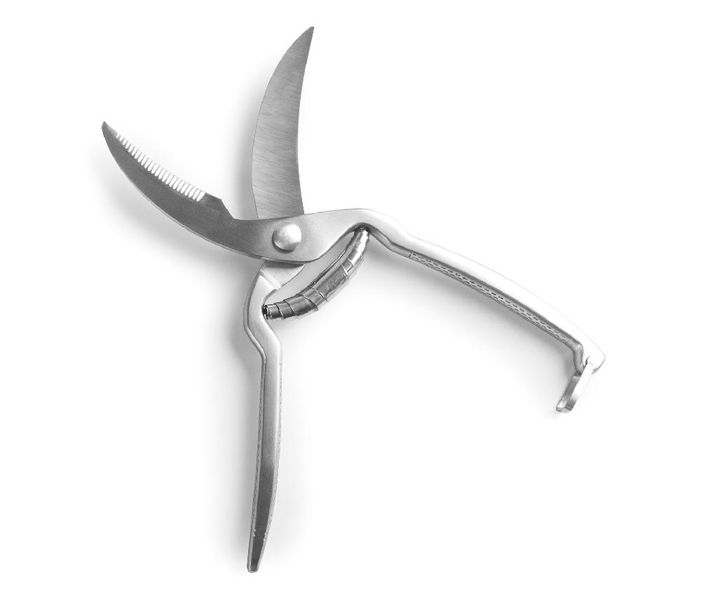 Lacor Tijeras Para Aves Inox