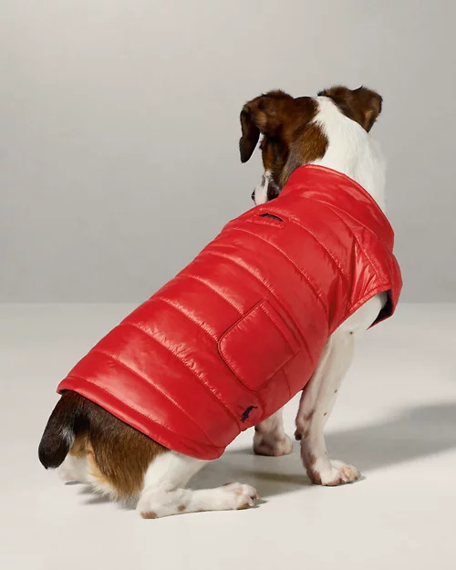 Lauren Ralph Lauren Chaqueta Acolchada Para Perro | Ralph Lauren® ES