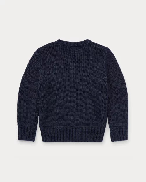 Lauren Ralph Lauren El Icónico Jersey Con Bandera Para Niño | Ralph Lauren® ES