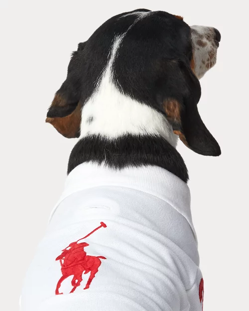 Lauren Ralph Lauren Polo De Piqué De Algodón Para Perros | Ralph Lauren® ES