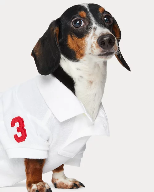 Lauren Ralph Lauren Polo De Piqué De Algodón Para Perros | Ralph Lauren® ES