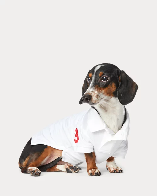 lauren ralph lauren Polo de piqué de algodón para perros | Ralph Lauren® ES
