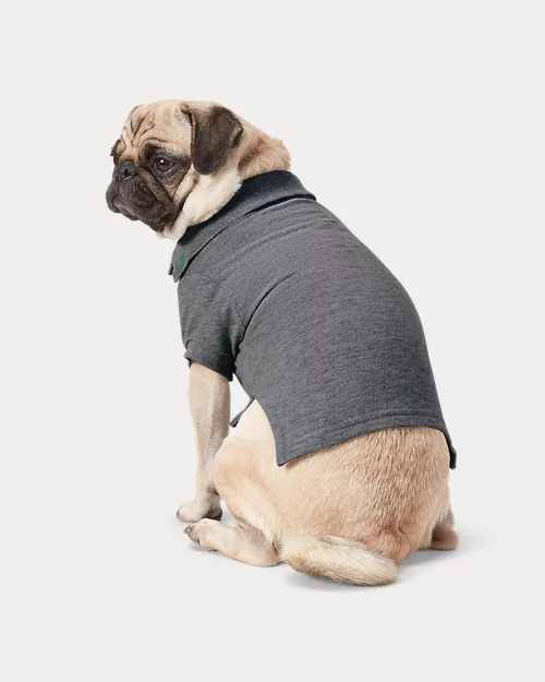 Lauren Ralph Lauren Polo Para Perro De Piqué De Algodón | Ralph Lauren® ES