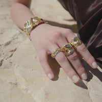 Lavani Anillo Clemence